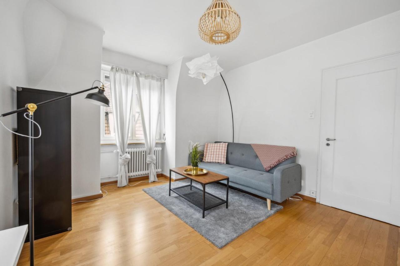 Cozy Apartment In The Heard Of Zurich Sonnegg Eksteriør billede