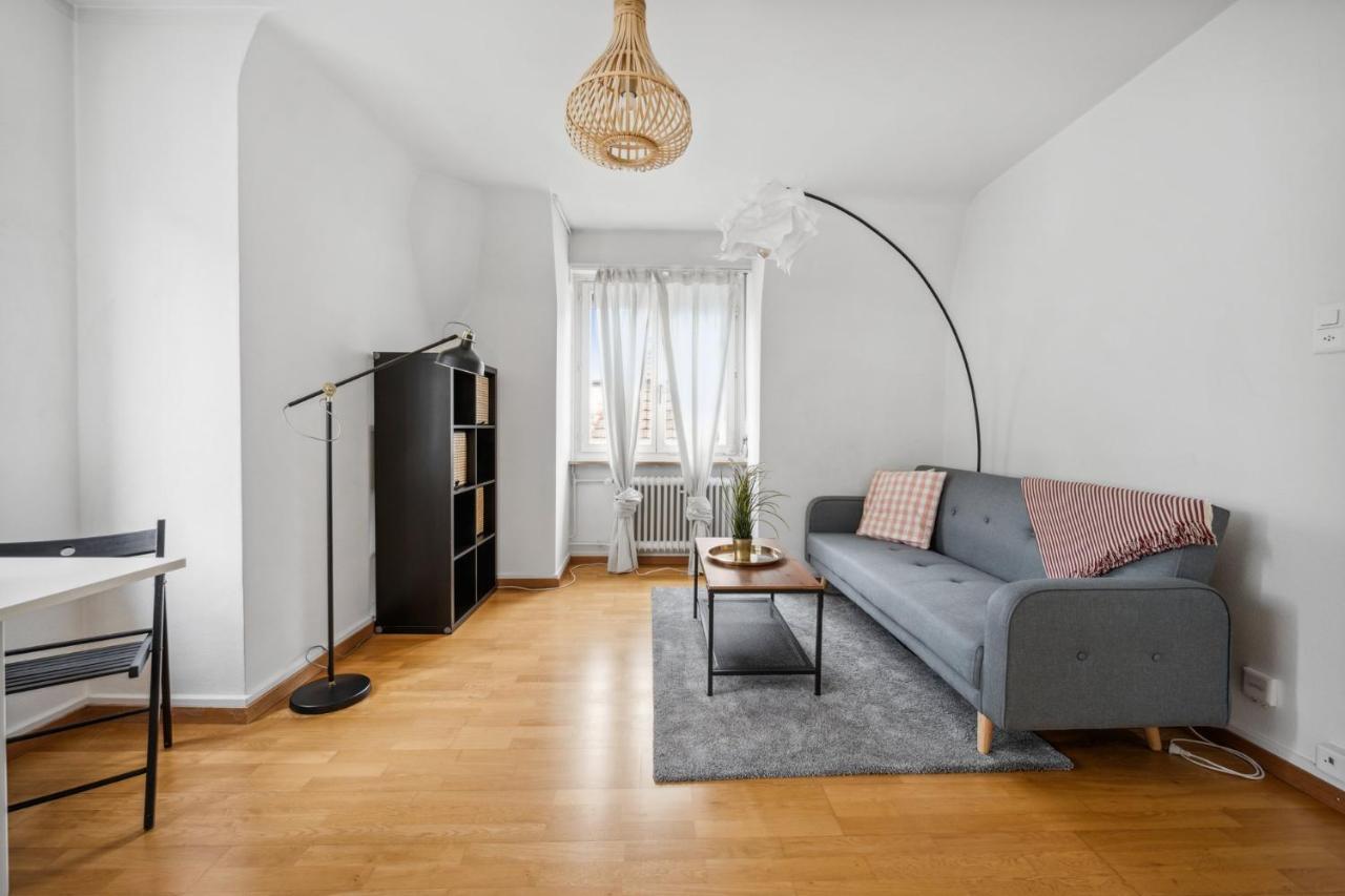 Cozy Apartment In The Heard Of Zurich Sonnegg Eksteriør billede